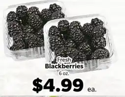 Living Fresh Market Fresh Blackberries offer