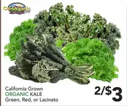 Pete's Fresh Market California Grown ORGANIC KALE offer