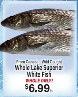 Angelo Caputo's Fresh Market From Canada - Wild Caught Whole Lake Superior White Fish offer