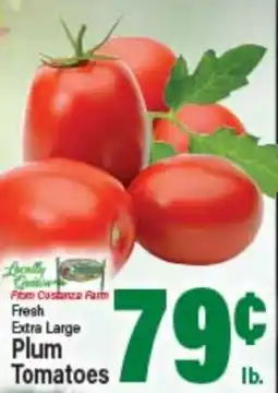 Angelo Caputo's Fresh Market Fresh Extra Large Plum Tomatoes offer
