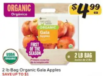 Naturally Better Organic Gala Apples