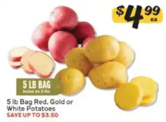5 lb Bag Red, Gold or White Potatoes