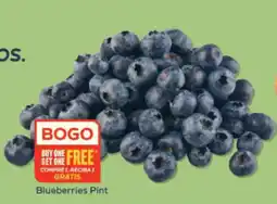 Winn Dixie Blueberries Pint offer