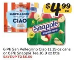 Winn Dixie San Pellegrino Ciao or Snapple Tea offer