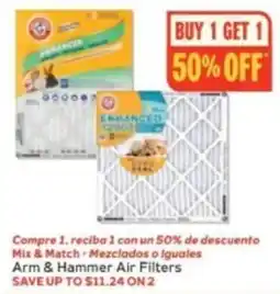 Winn Dixie Arm & Hammer Air Filters offer