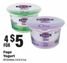 Big Y Fage Yogurt offer