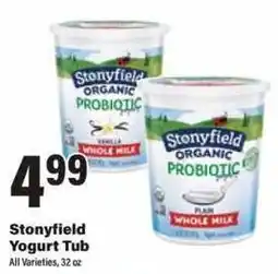 Big Y Stonyfield Yogurt Tub offer