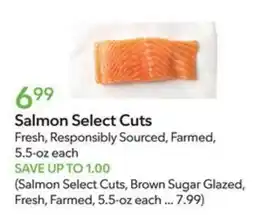 Publix Salmon Select Cuts offer