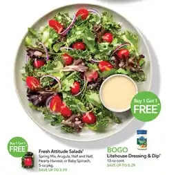Publix Fresh Attitude Salads offer