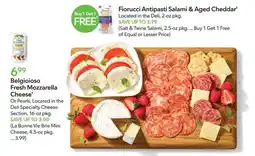 Publix Belgioioso Fresh Mozzarella Cheese offer