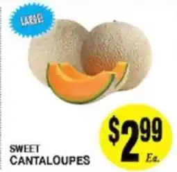 Arlan's Market Sweet Cantaloupes offer