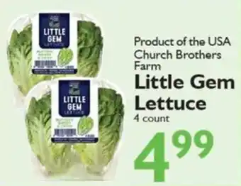 Little Gem Lettuce