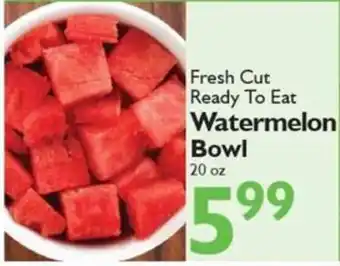 Fresh Cut Ready To Eat Watermelon Bowl