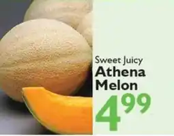 Festival Foods Athena Melon offer