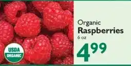 Festival Foods Organic Raspberries offer