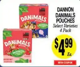 Arlan's Market Dannon Danimals Pouches offer