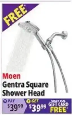 Ocean State Job Lot Moen Genta Square Shower Head offer