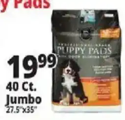 Ocean State Job Lot Professional Brands Puppy Pads offer
