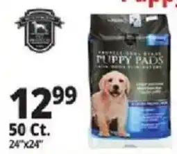 Ocean State Job Lot Puppy Pads offer