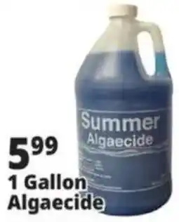 Ocean State Job Lot Summer Algaecide offer