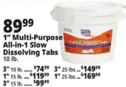 Ocean State Job Lot Pool Mate 1" Multi-Purpose All-in-1 Slow Dissolving Tabs offer