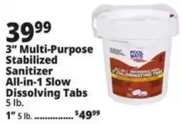 Ocean State Job Lot Pool Mate 3" Multi-Purpose Stabilized Sanitizer All-in-1 Slow Dissolving Tabs offer