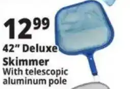 Ocean State Job Lot 42" Deluxe Skimmer offer