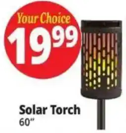 Ocean State Job Lot Solar Torch offer