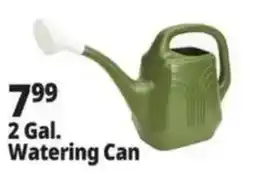 Ocean State Job Lot 2 Gal. Watering Can offer