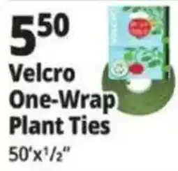 Ocean State Job Lot Velcro One-Wrap Plant Ties offer