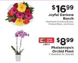ShopRite Phalaenopsis Orchid Plant offer