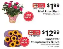 ShopRite Mini Rose Plant offer