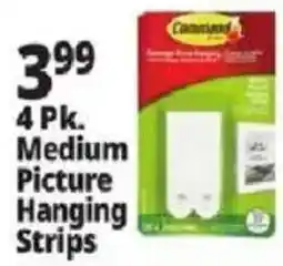 Ocean State Job Lot Command medium picture hanging strips offer