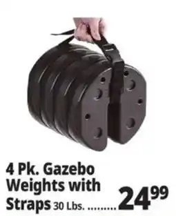 Ocean State Job Lot Gazebo Weights with Straps offer