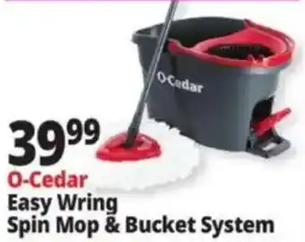 Ocean State Job Lot O-Cedar Easy Wring Spin Mop & Bucket System offer