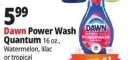 Ocean State Job Lot Dawn Power Wash offer