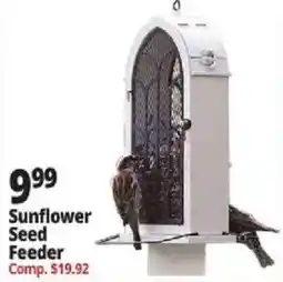 Ocean State Job Lot Sunflower Seed Feeder offer