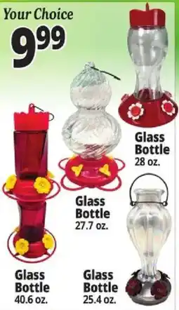 Ocean State Job Lot Your Choice Glass Bottle offer