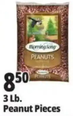 Ocean State Job Lot Morning Song peanuts offer