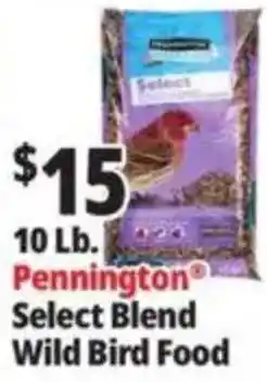 Ocean State Job Lot Pennington Select Blend Wild Bird Food offer