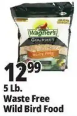 Ocean State Job Lot Wagners gourmet waste free wild bird food offer