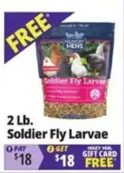 Ocean State Job Lot Hungry Hens Soldier Fly Larvae offer