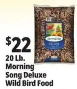 Ocean State Job Lot Morning Song Deluxe Wild Bird Food offer
