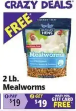 Ocean State Job Lot Hungry Hens Mealworms offer