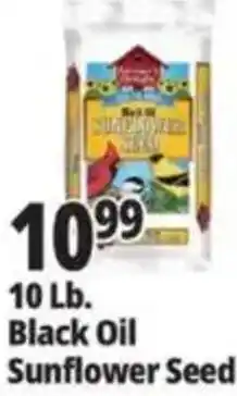 Ocean State Job Lot Black Oil Sunflower Seed offer