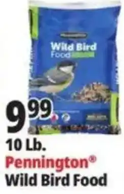 Ocean State Job Lot Pennington Wild Bird Food offer