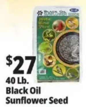 Ocean State Job Lot Black Oil Sunflower Seed offer