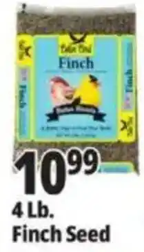 Ocean State Job Lot Blue Owl Finch Finch Seed offer