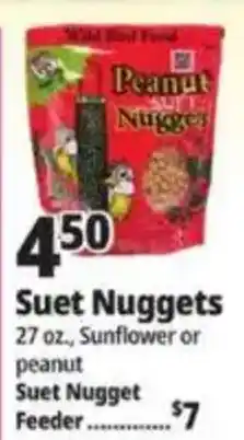 Ocean State Job Lot Peanut Suet Nuggets offer