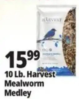 Ocean State Job Lot Harvest Mealworm Medley offer